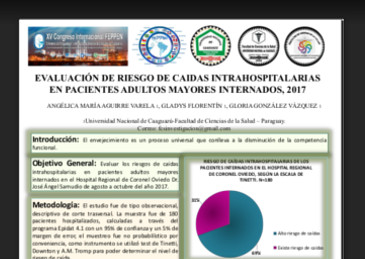 Evaluación de riesgo de caídas intrahospitalarias en pacientes adultos mayores internados, 2017